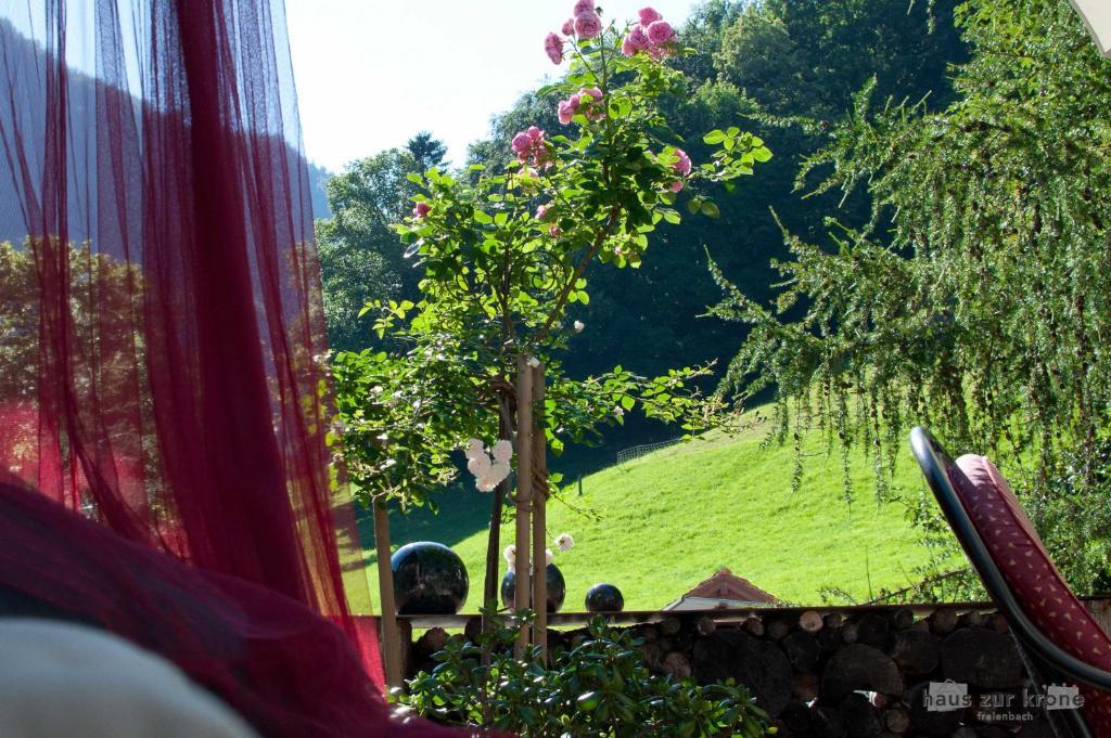 B&B Haus Zur Krone Oberriet ภายนอก รูปภาพ